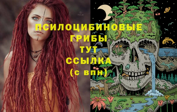 молекула духа Богородицк