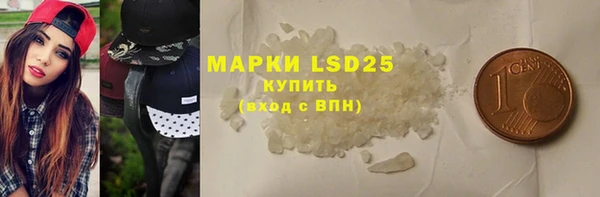 молекула духа Богородицк