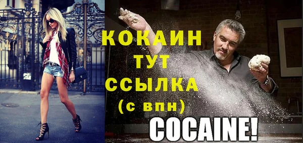 spice Беломорск