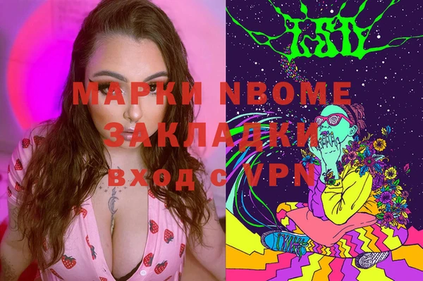 молекула духа Богородицк