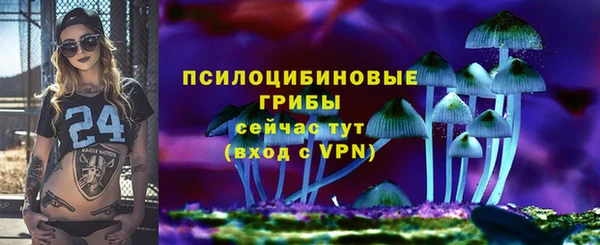 молекула духа Богородицк