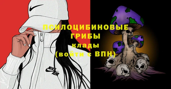 spice Беломорск