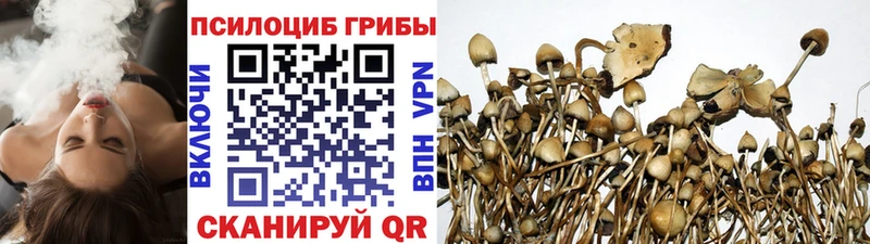Псилоцибиновые грибы Magic Shrooms  площадка клад  Весьегонск 