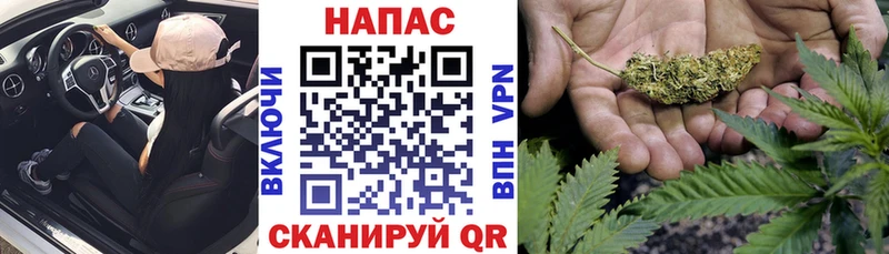 Шишки марихуана MAZAR купить Весьегонск